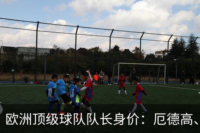 欧洲顶级球队队长身价：厄德高、劳塔罗1.1亿欧